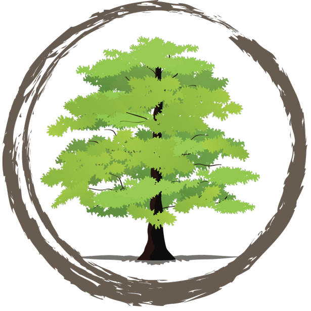 ACEER PAYSAGE logo
