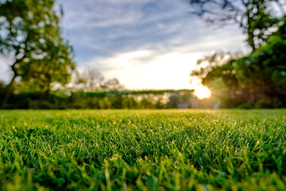 entretien d’espaces verts