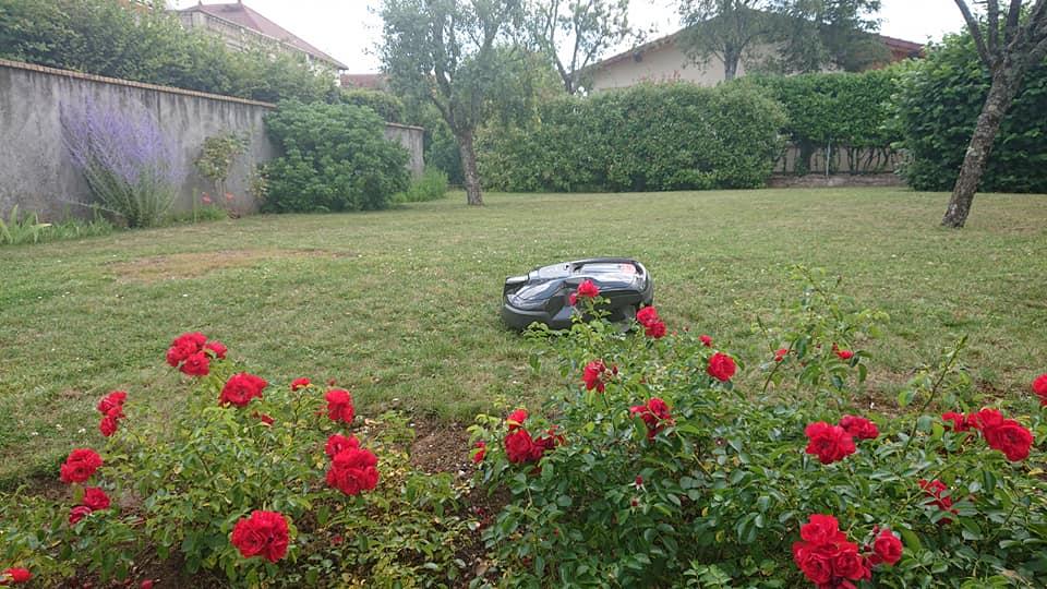 entretien jardin